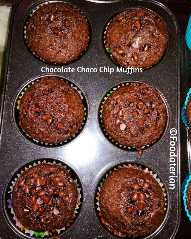 Chocolate Choco Chip Muffin